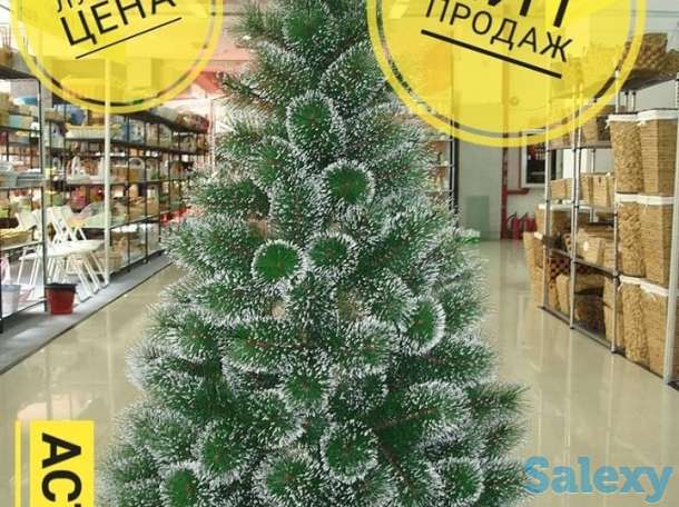 Новогодние елки с доставкой, фотография 1