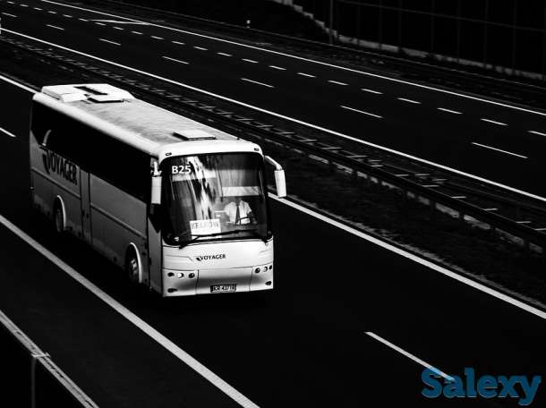 требуются водители автобусов и маршруток., фотография 1