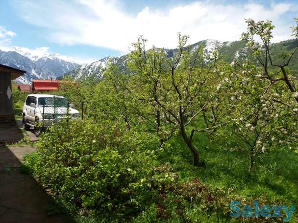 Плодовый сад, КХ, фотография 7