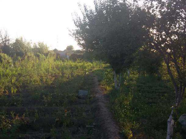 Геолг , фотография 8