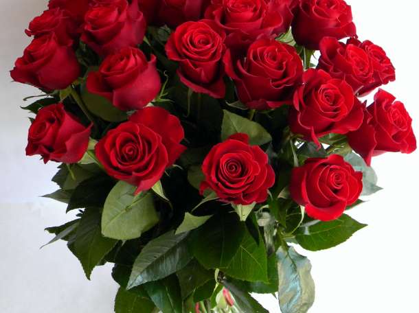 Розы с доставкой по поводу и без, фотография 1