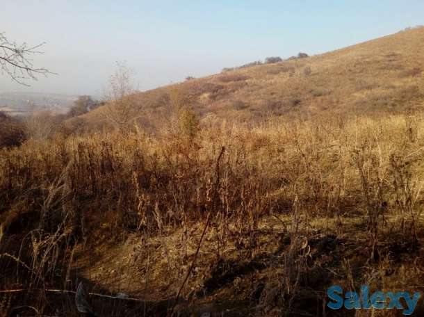 продам земельный участок 1.5 га к/х в Талгаре, район МТФ №3 вверх по Интернациональной, фотография 3