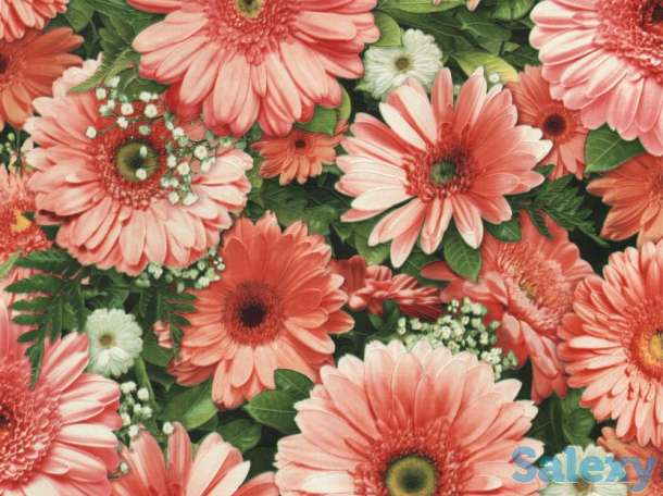 Обои., фотография 7