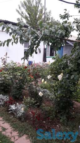 продам или обменяю частный дом, фотография 7