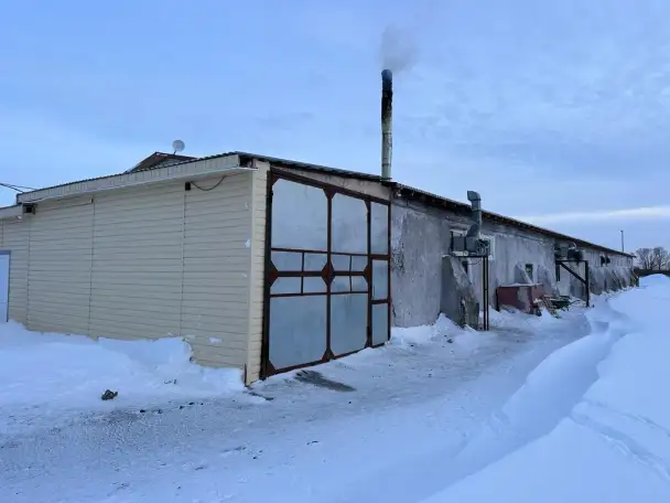 Продается готовый бизнес ферма по производству перепелиных яиц в Акмолинской области, фотография 9