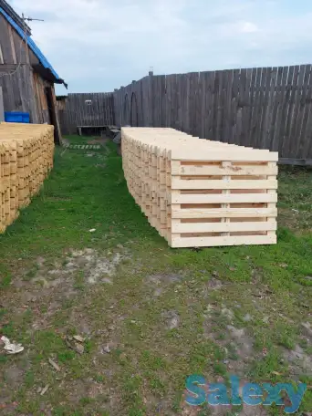 Поддонны, фотография 1