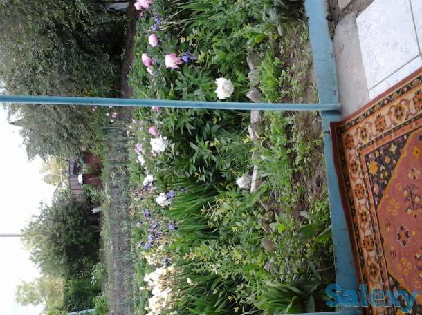 Продам дачу, фотография 3