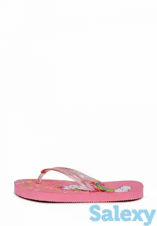 Сланцы t.taccardi, фотография 1