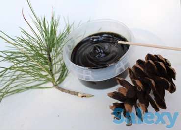 Хвойная хлорофилло–каротиновая паста, фотография 1