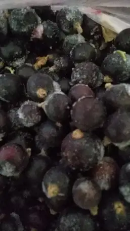 Ппродам, фотография 1