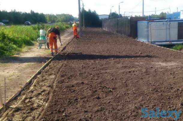 посадка газона, фотография 2