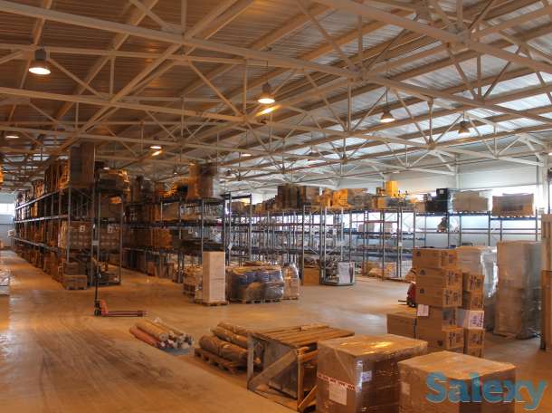 Импорт из РФ 