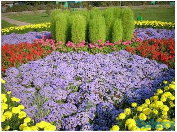 Ландшафтный дизайн, фотография 5