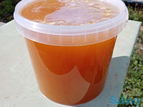 Продаю мед, фотография 1