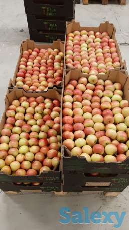 яблоки свежие, фотография 3