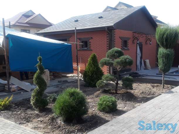 Профессиональный ландшафтный дизайн в Алматы!, фотография 3