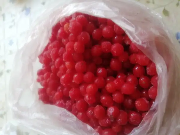 Продам калину красную очищенную, фотография 1