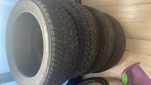 Шина, фотография 2