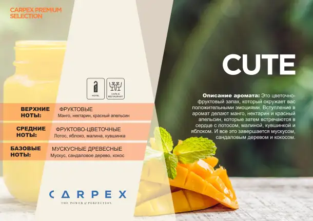 Carpex 50  мл Ароматические картриджи, фотография 3