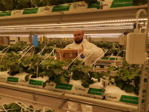 Шмелиная семья БиоИнновации Стандарт. Для опыления растений., фотография 10