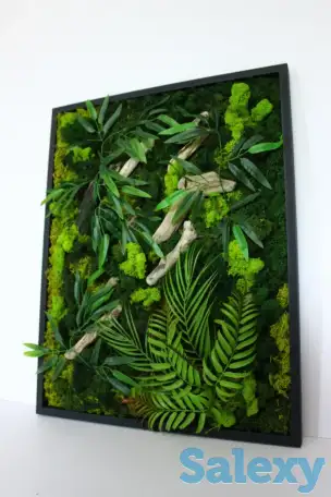 Картины из стабилизированного мха, фотография 2