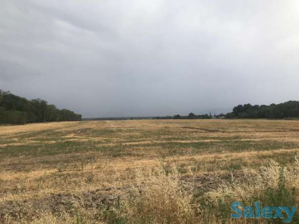 Продам землю 53 га!, район, Панфиловский сельский округ, фотография 2