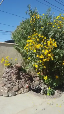 Продается основательный дом в центре города, фотография 4