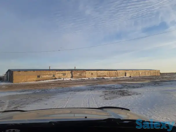 Продам крестьянское хозяйство в 100 км от Уральска, фотография 7