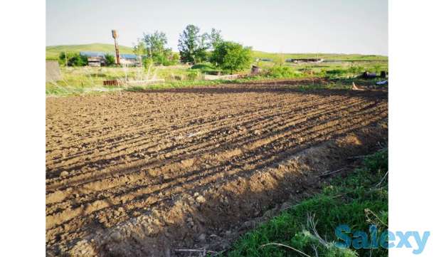 Продам крестьянское хозяйство 36 га, ферма, дом, гараж, летняя кухня,баня., фотография 13