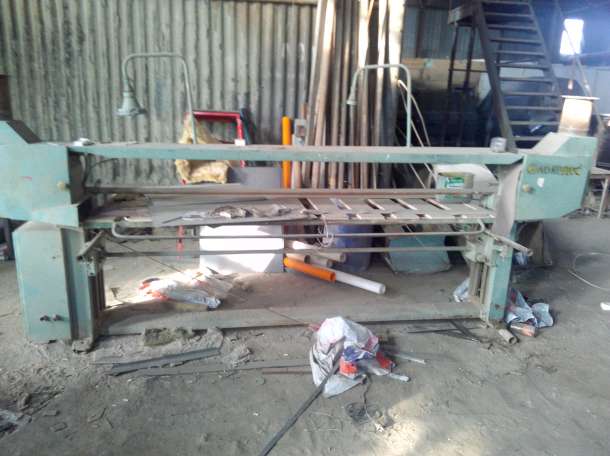 Рейсмуспрода рейсмус польский 60см, фотография 3