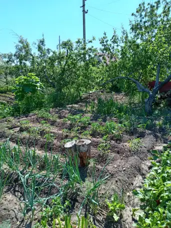 ПРОДАМ ДОМ В ДАЧНОМ КООПЕРАТИВЕ ТАМАРИКС зимний вариант, фотография 6