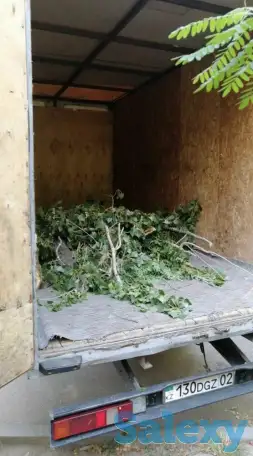 Спил деревьев по городу Алматы и Алматинской области, фотография 6