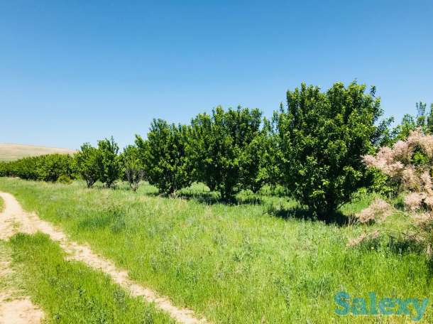 Продам участок 2 га, фотография 10