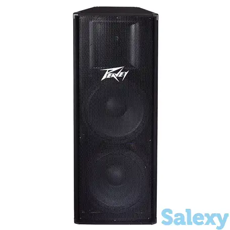 Акустическая система с защитой динамиков peavey pv 215, фотография 1