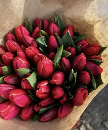 Тюльпаны оптом и в розницу к 8 марта, фотография 4