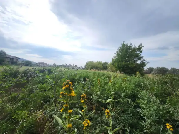 Продаем земельный участок  1 гектар возле поселка Джандосова, фотография 2