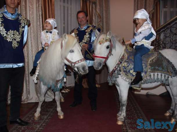 пони единорог, фотография 2