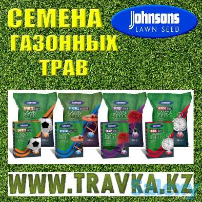 Семена газонных трав. Газон, фотография 1