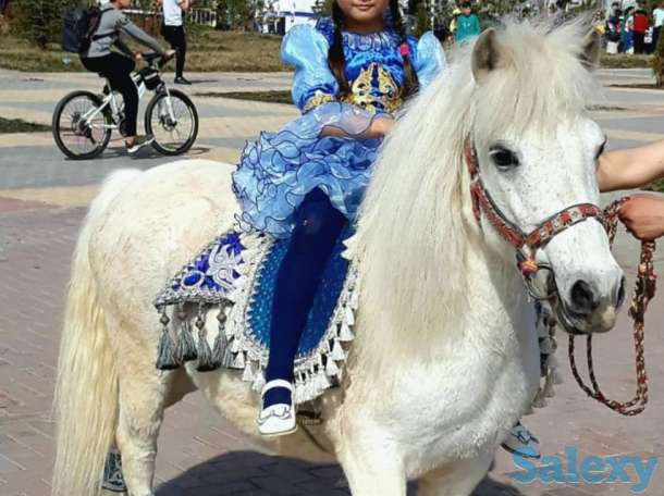 Кобыла с жеребенком, фотография 1