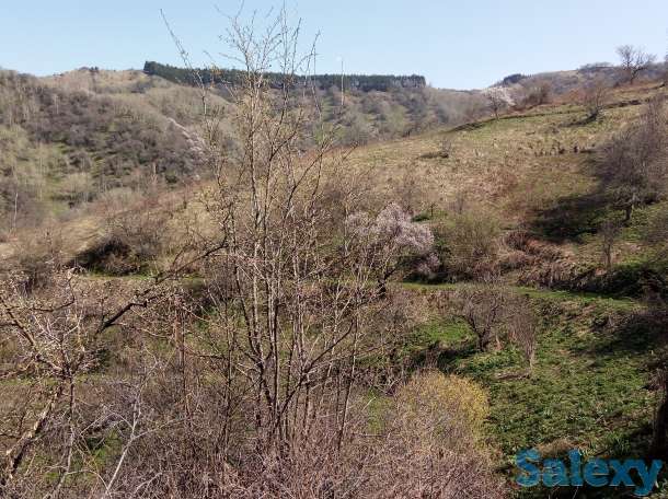 Продажа, Мкр Сулусай, фотография 3