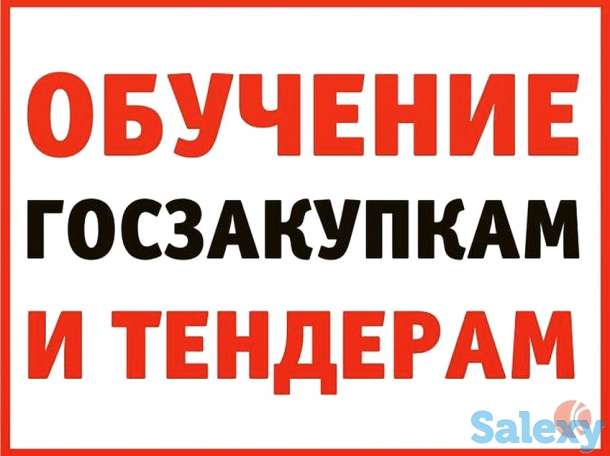 Индивидуальное обучение тендерам., фотография 1