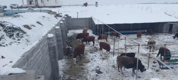 Фазенда, Кольащы, фотография 4