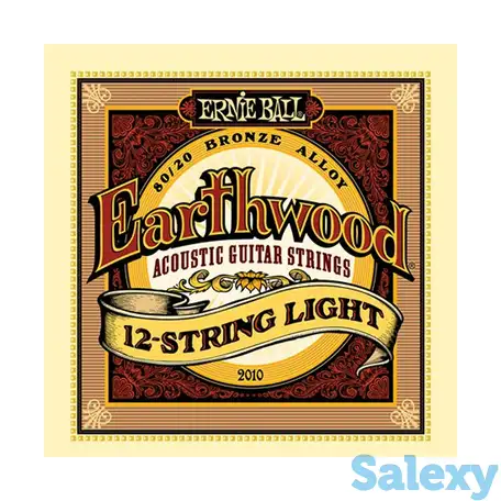 Струны для 12-струнной акустической гитары ernie ball earthwood 80/20 p02010, фотография 1
