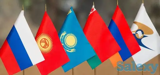 Внесение объектов интеллектуальной собственности в таможенный реестр, фотография 1