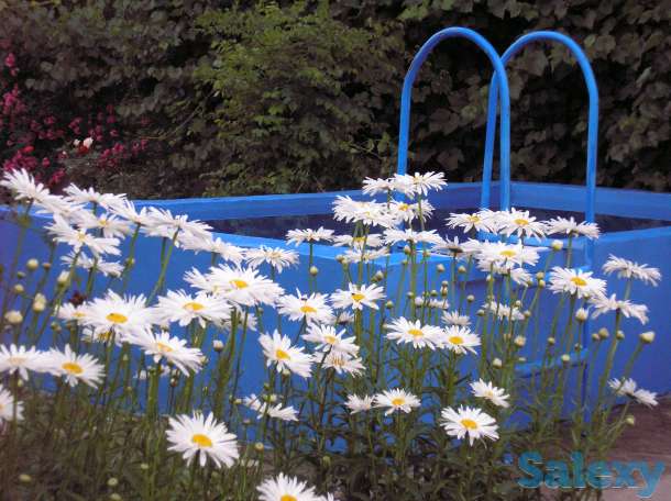 Продажа дачи, н.п Райымбек в 5 км.  от , фотография 3