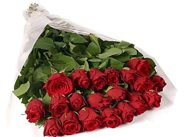 Цветочный мир 