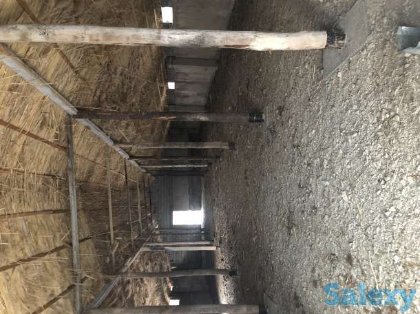 Продам Фазенду, фотография 7