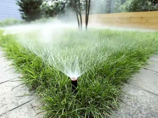 автоматический полив цена, фотография 1