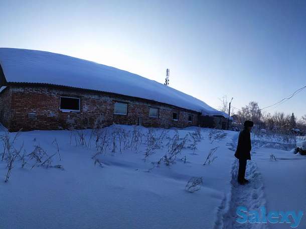 продам свинокомплекс, фотография 9