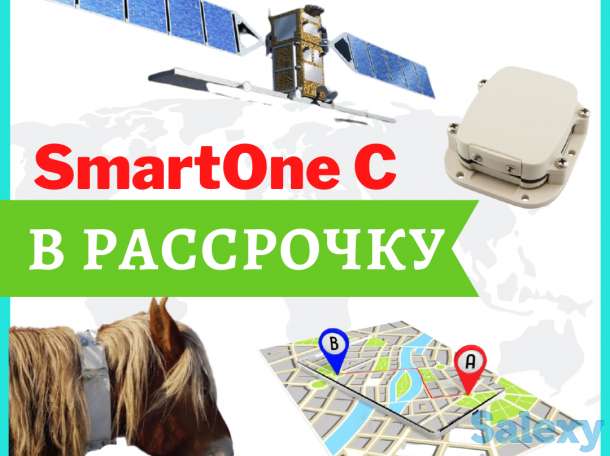 GPS трекер SmartOne C для лошади, верблюды, кобылы и КРС, фотография 1